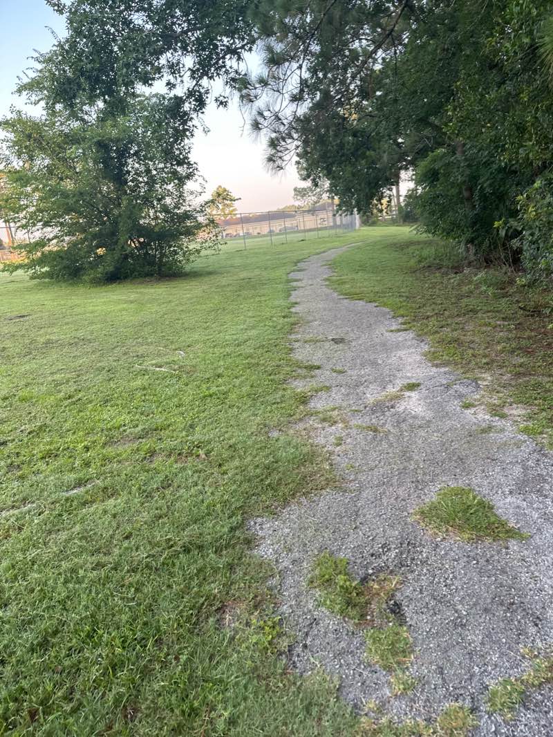 walking near me in Drew Park in winter