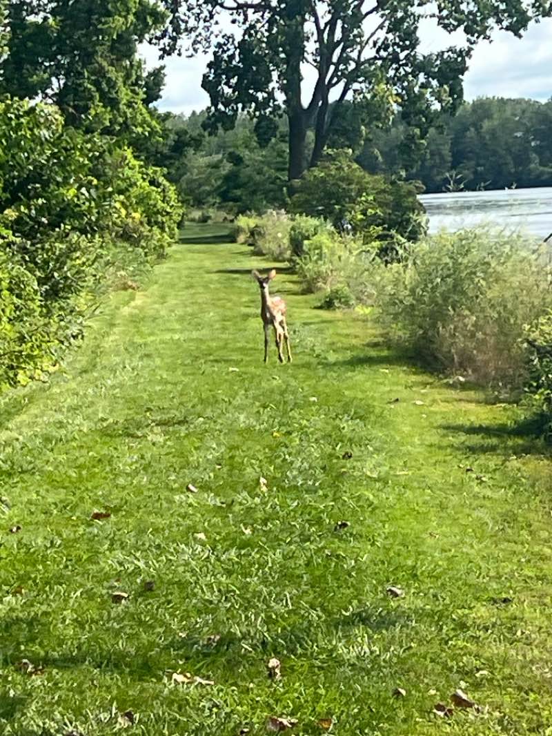 walking near me in East Harbor State Park in autumn