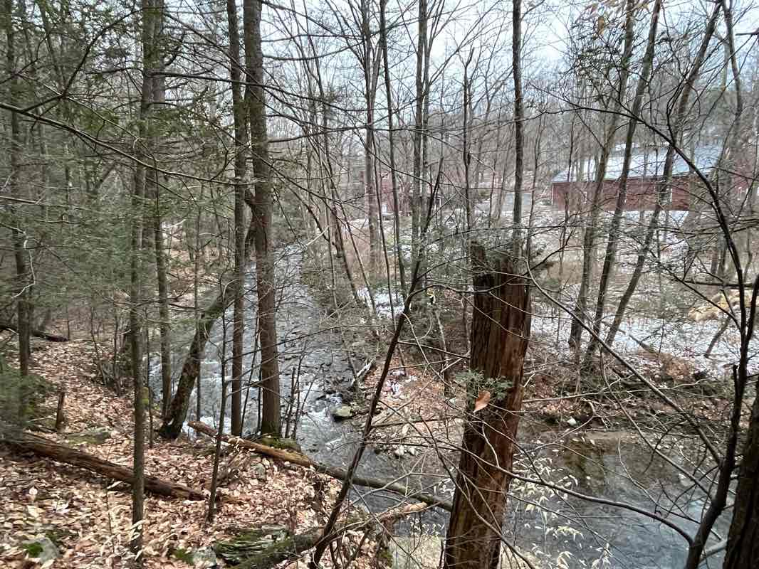 walking near me in Amethyst Brook Conservation Area in winter