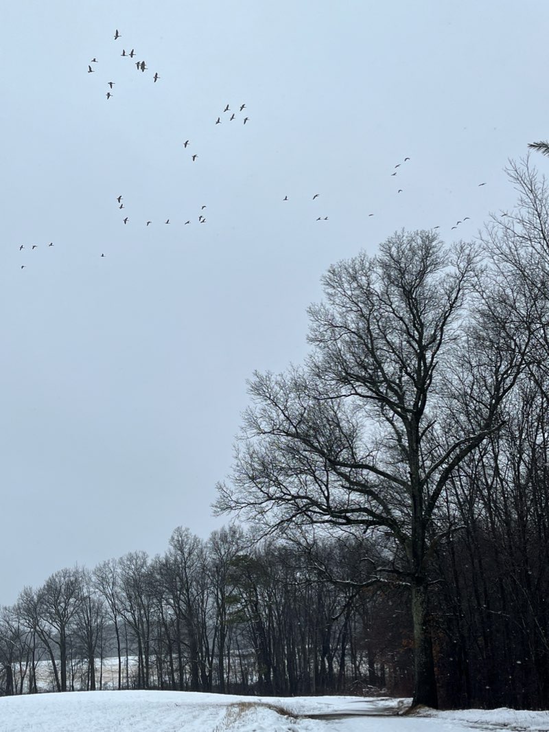 walking near me in Conservaion Land in winter