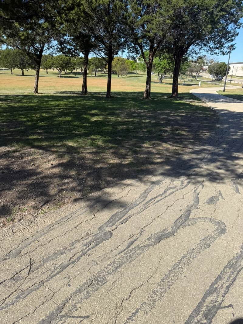 walking near me in Carl Levin Park in spring
