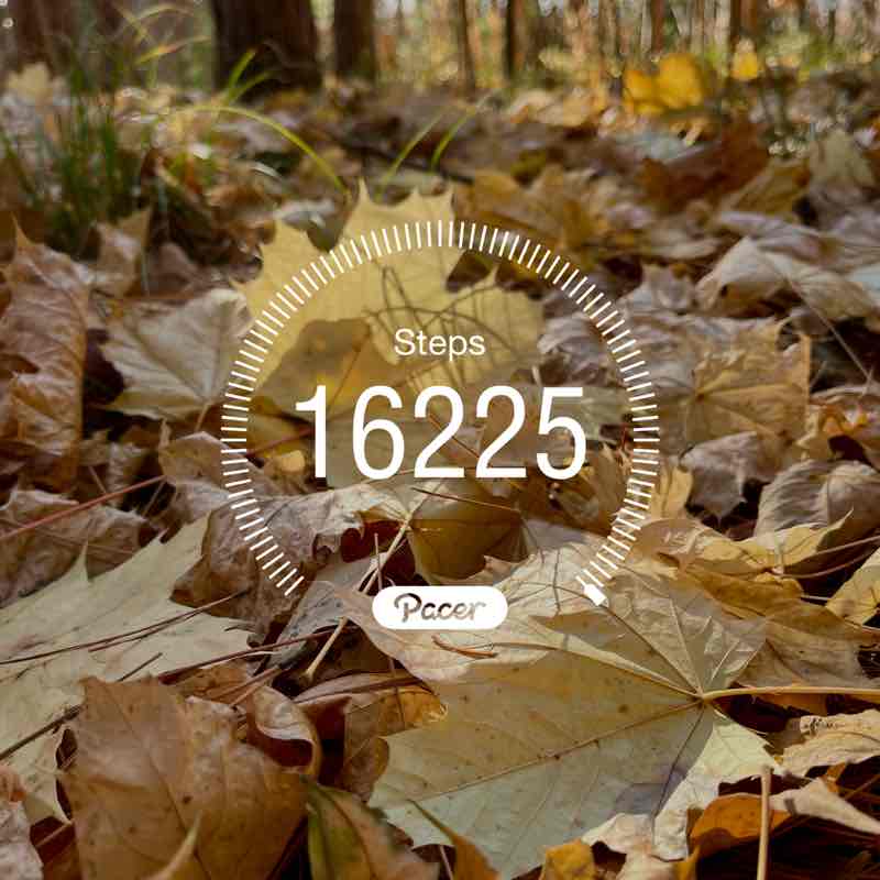 Ольга🇷🇺❤️ post 1