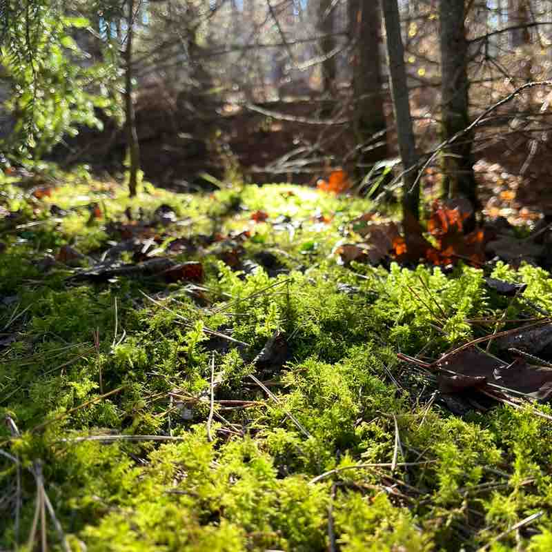 Ольга🇷🇺❤️ post 3