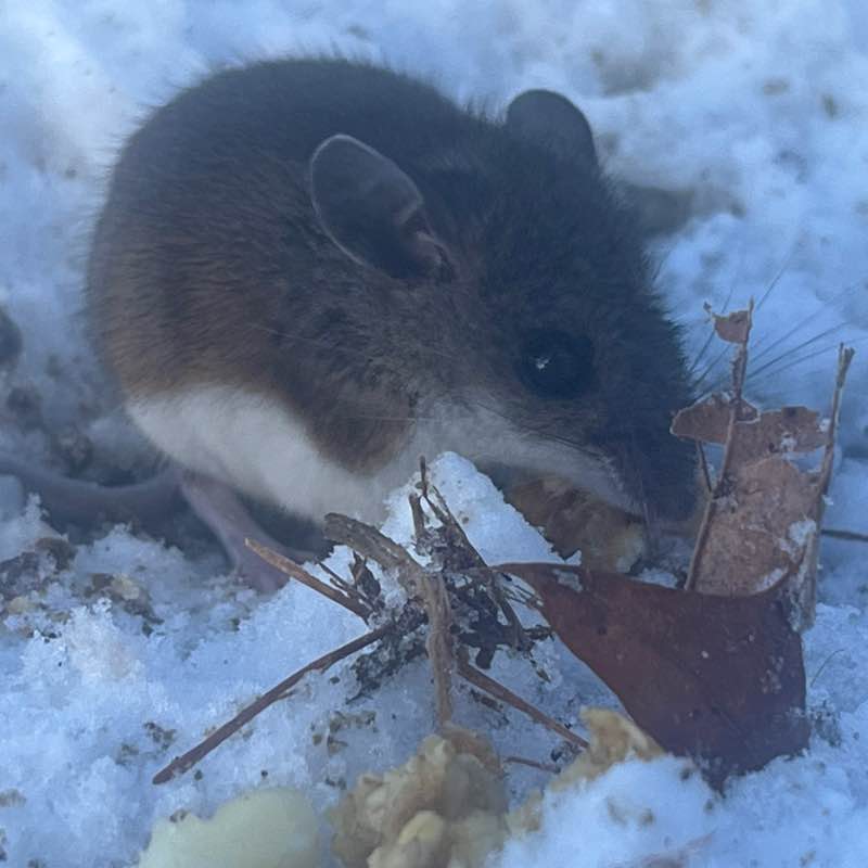 Ольга🇷🇺❤️ post 3