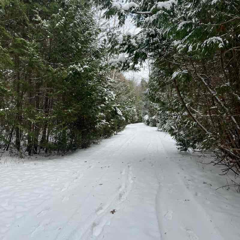 Ольга🇷🇺❤️ post 2