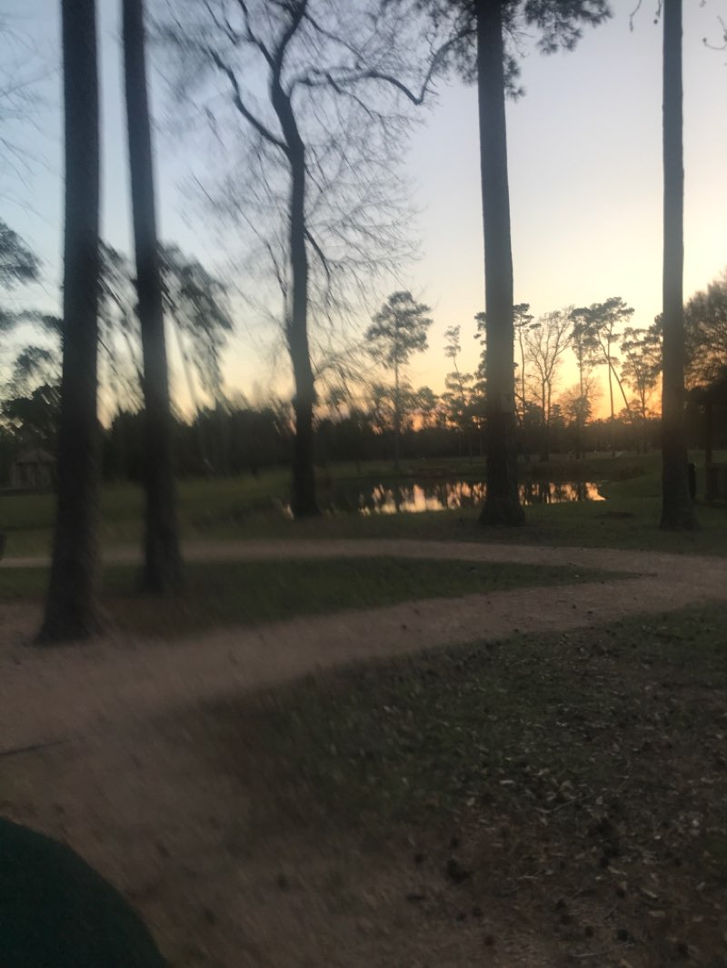 walking near me in Forest Oaks Park in winter