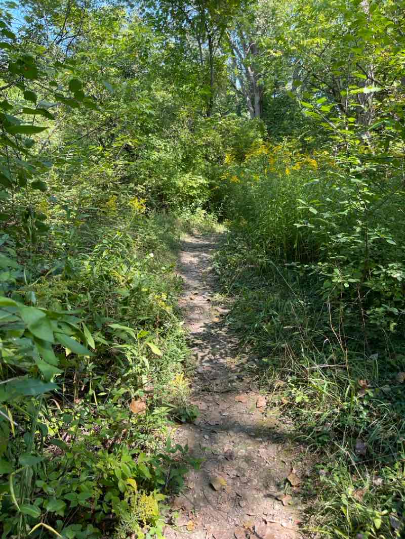 walking near me in Tillman Road Wildlife Management Area in winter