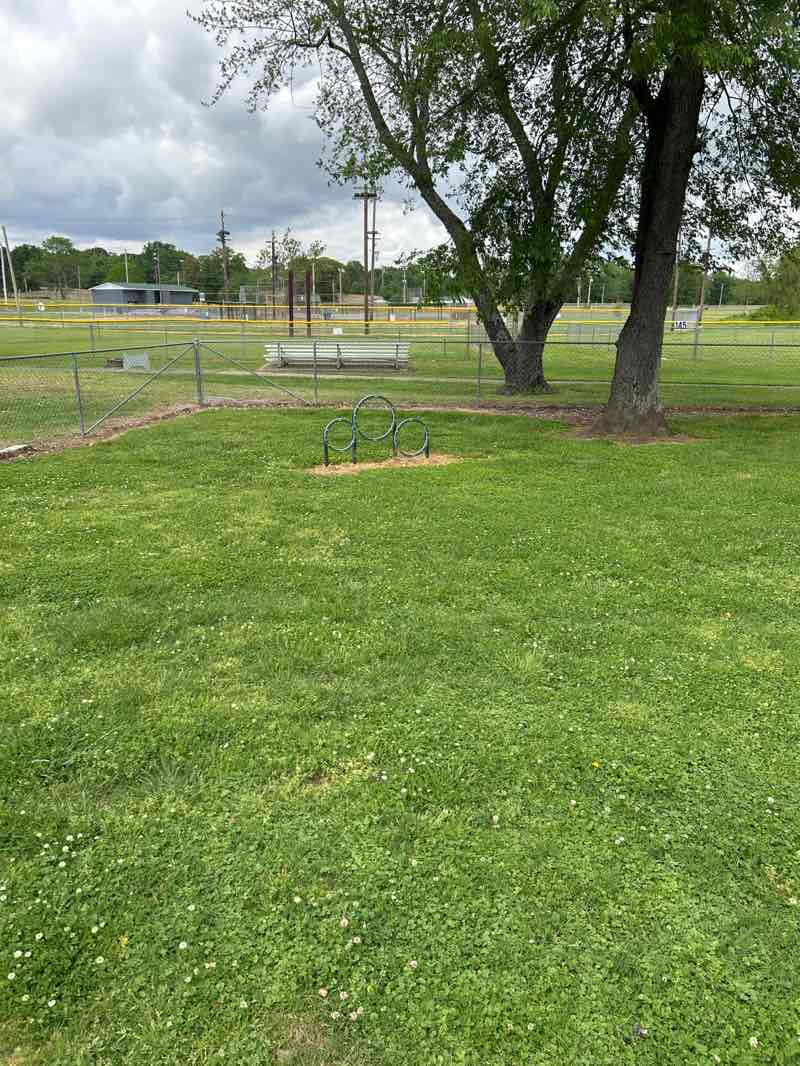 walking near me in Lions Club Park in spring