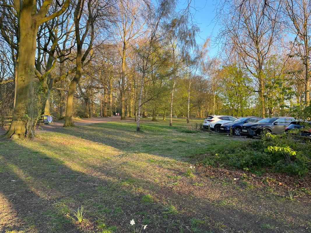 walking near me in Woodbank Memorial Park in spring