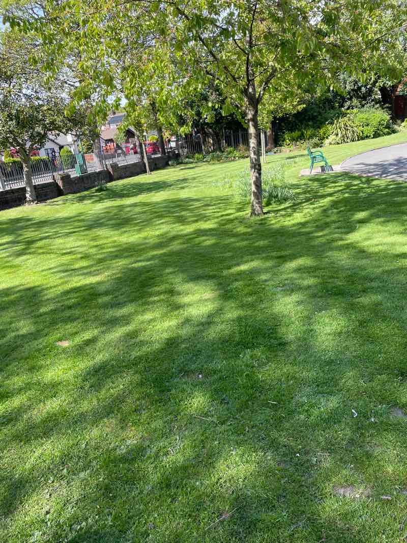 walking near me in Romiley Park in spring