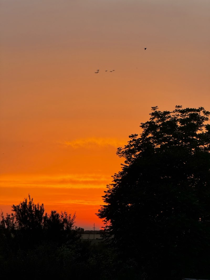walking near me in City Hall Park in summer