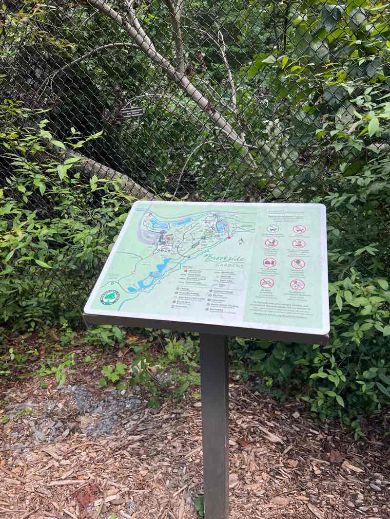 walking near me in Brookside Gardens in autumn
