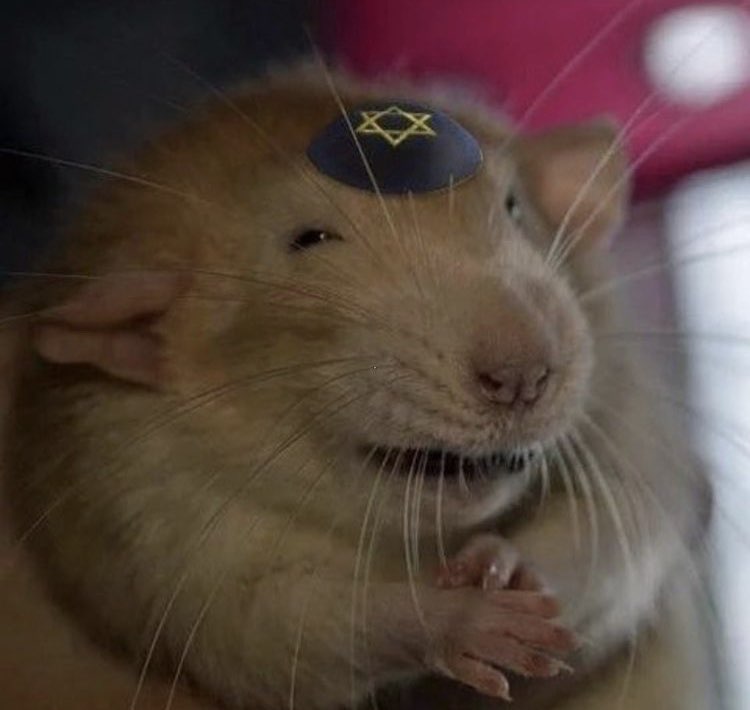 🫧йуля🫧 profile