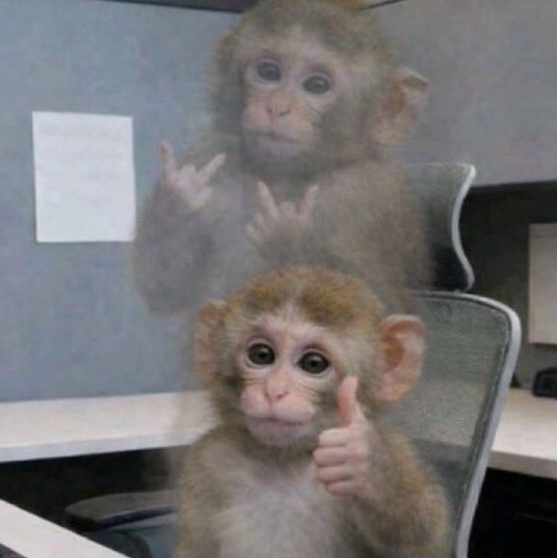 🇺🇦йуля🇺🇦 profile