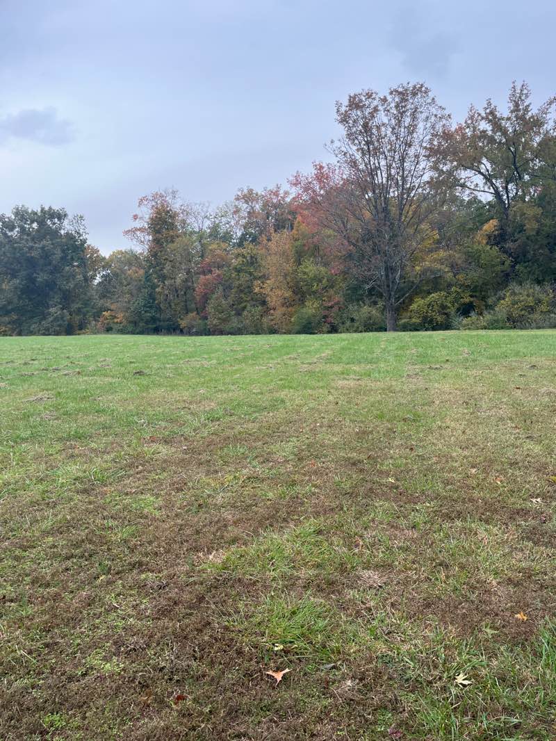 walking near me in Kiwanis Park in autumn