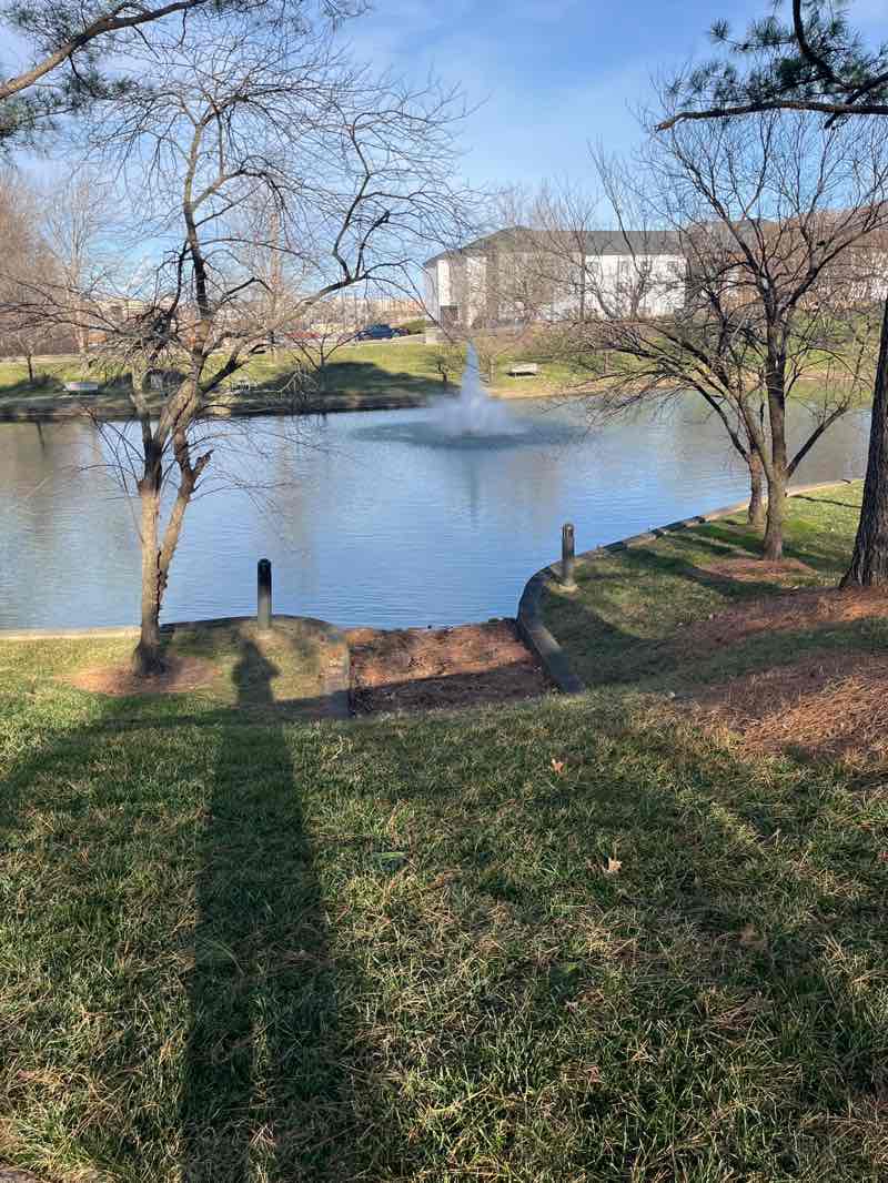 walking near me in John A. Willams Park in winter