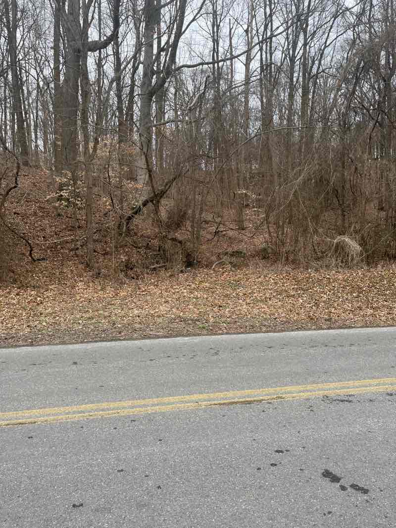 walking near me in Twin Trees Park in winter