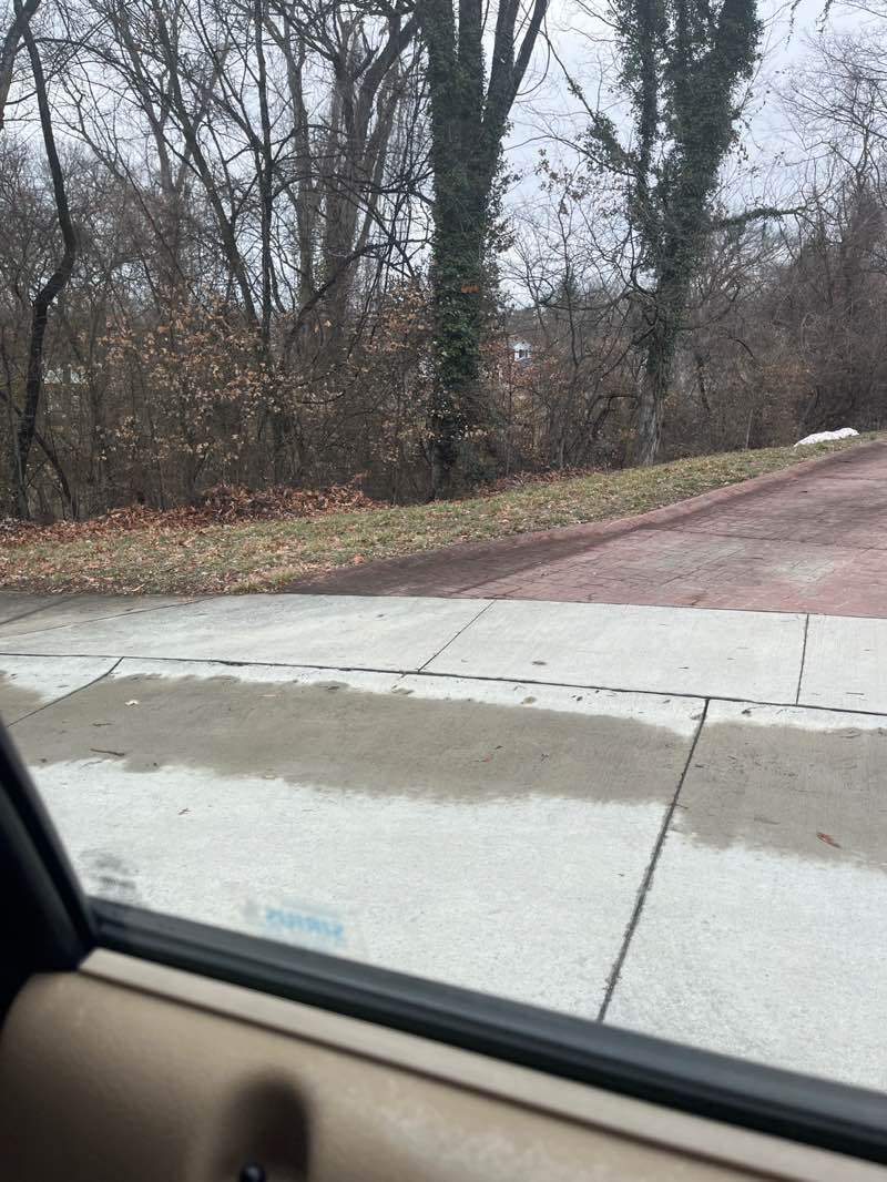 walking near me in Rockwood Park in winter