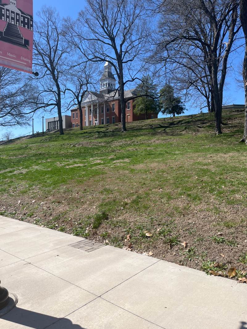 walking near me in Courthouse Park in spring