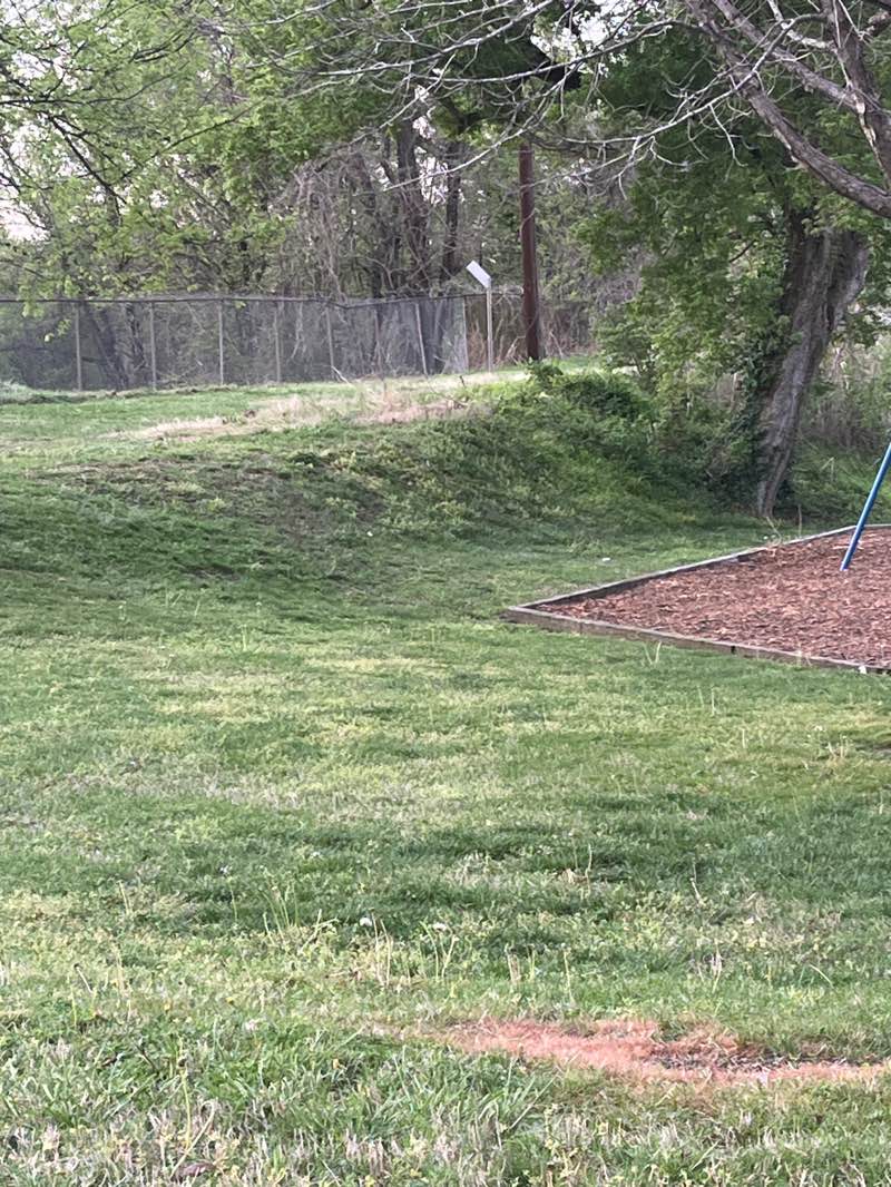 walking near me in Indian Park in spring