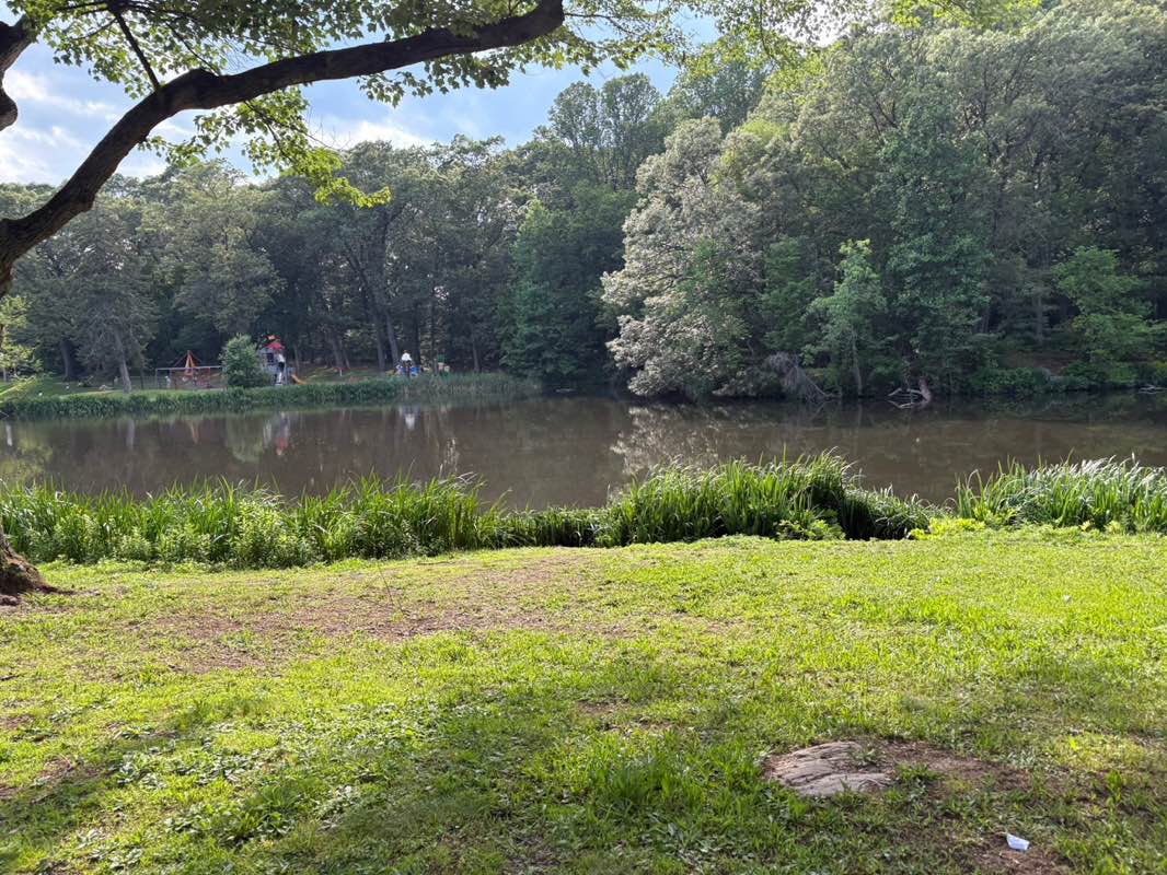 walking near me in Gould Manor Park in autumn