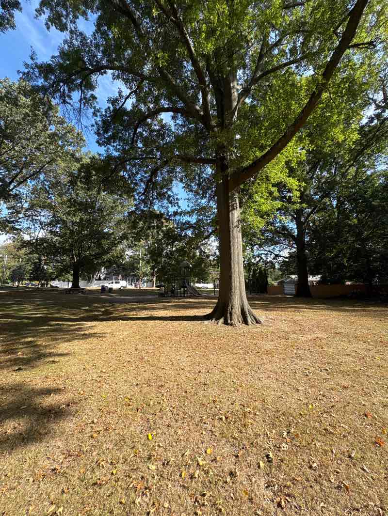 walking near me in Knapps Green in autumn