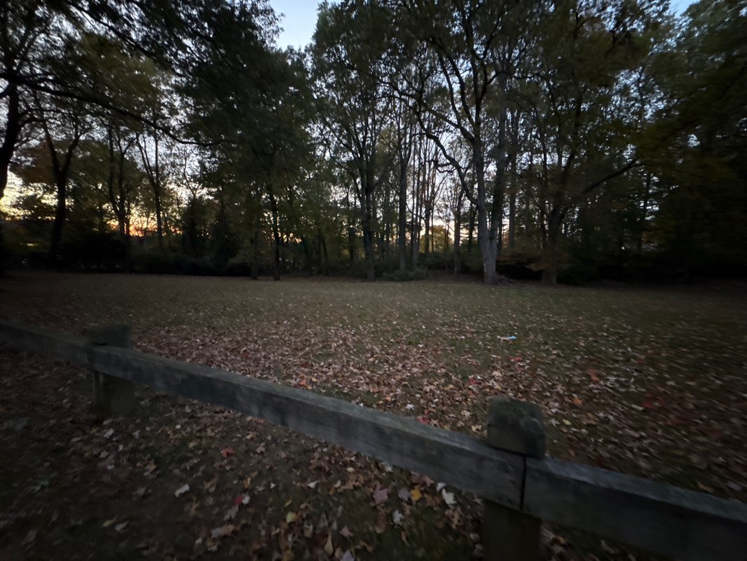 walking near me in Highwood Park in autumn