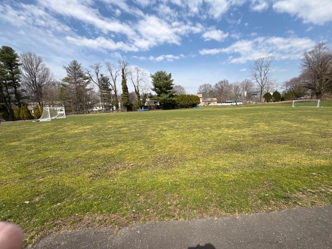 walking near me in Burroughs Park in spring