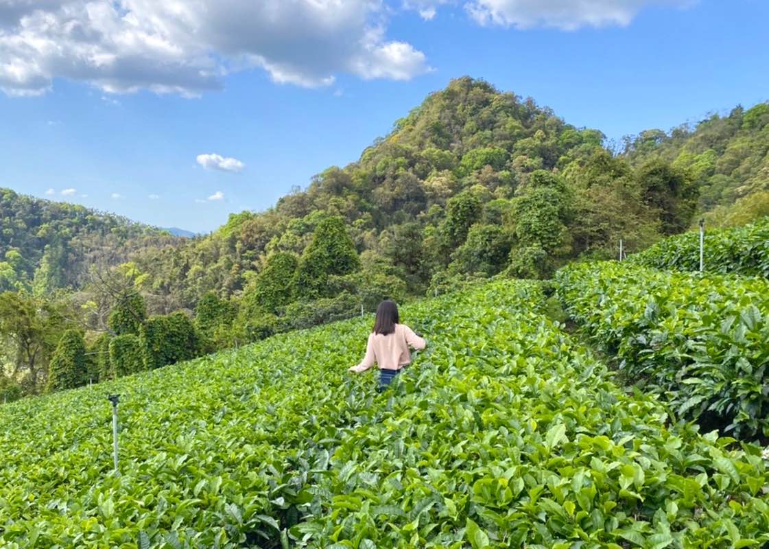 中港 行銷 陳怡伶