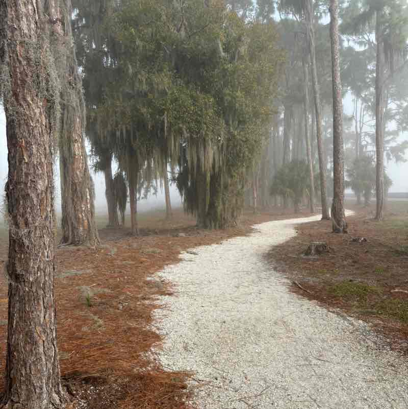 Christy Krepss post 3