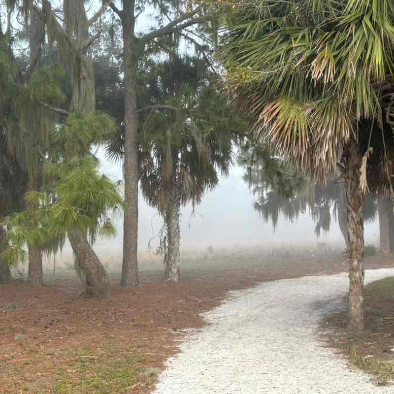 Christy Krepss post 2