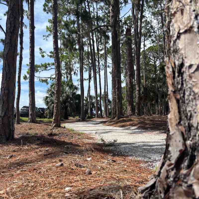 Christy Krepss post 1