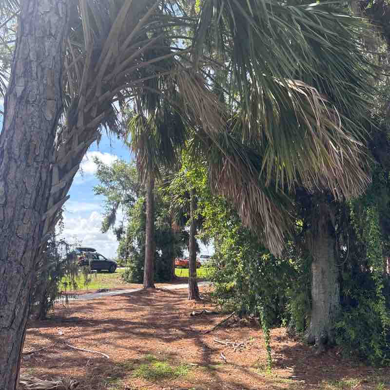 Christy Krepss post 3