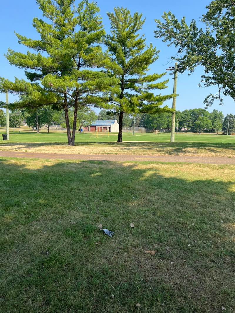 walking near me in Sunny Acres Park in summer