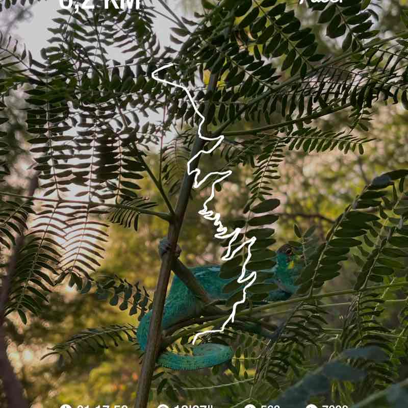 jeanbernardaboukir post 1