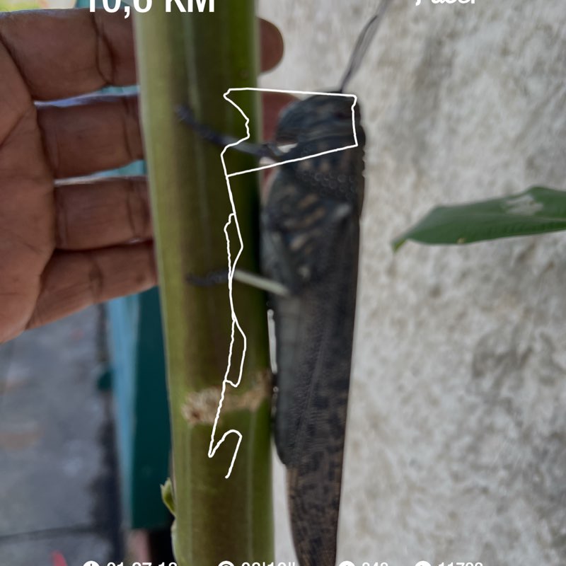 jeanbernardaboukir post 1