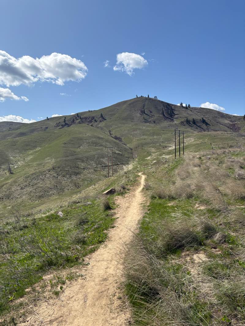 walking near me in Chelan PUD Homewater Preserve in spring
