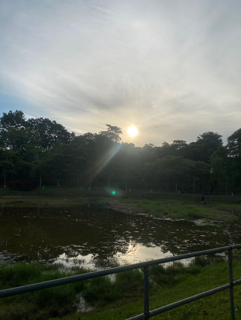 walking near me in Tasik Kolej Kediaman 1 in autumn