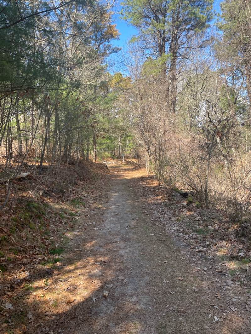 walking near me in Quashnet Woods State Reservation in spring