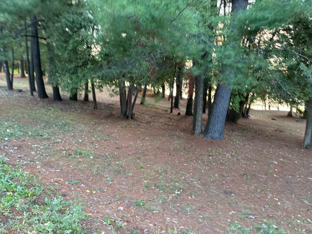 walking near me in Lions Beaver Lake Park in autumn