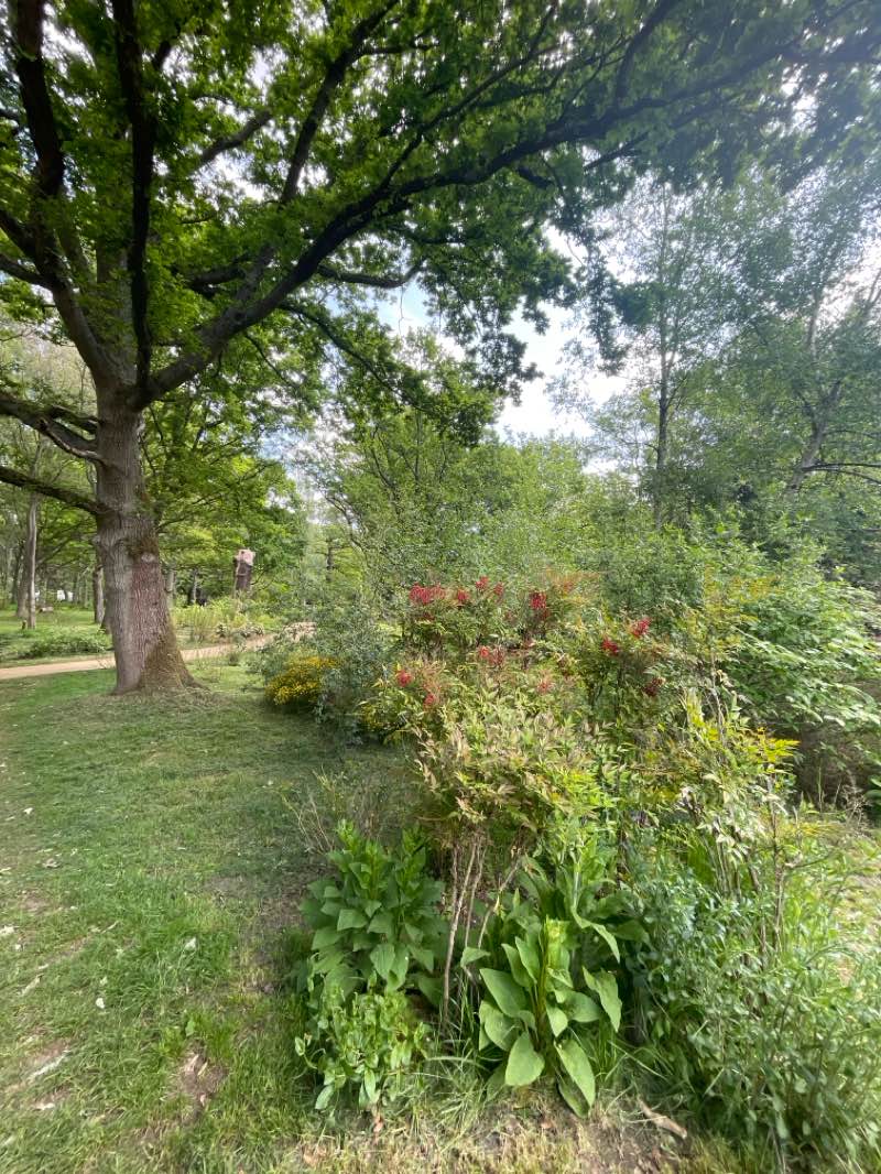 walking near me in Sudbrook Park in spring