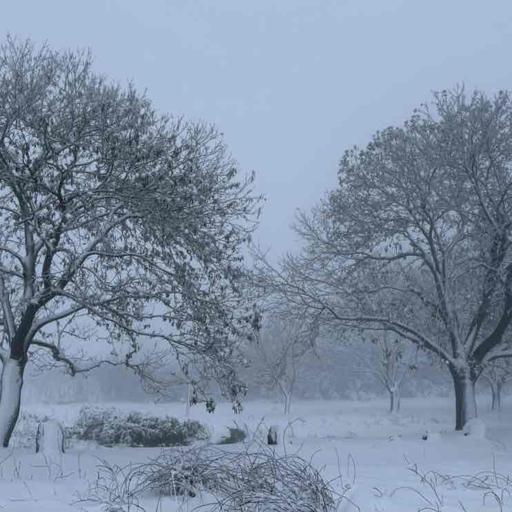 💯 GOOD VIBES💯 Aurélia post image