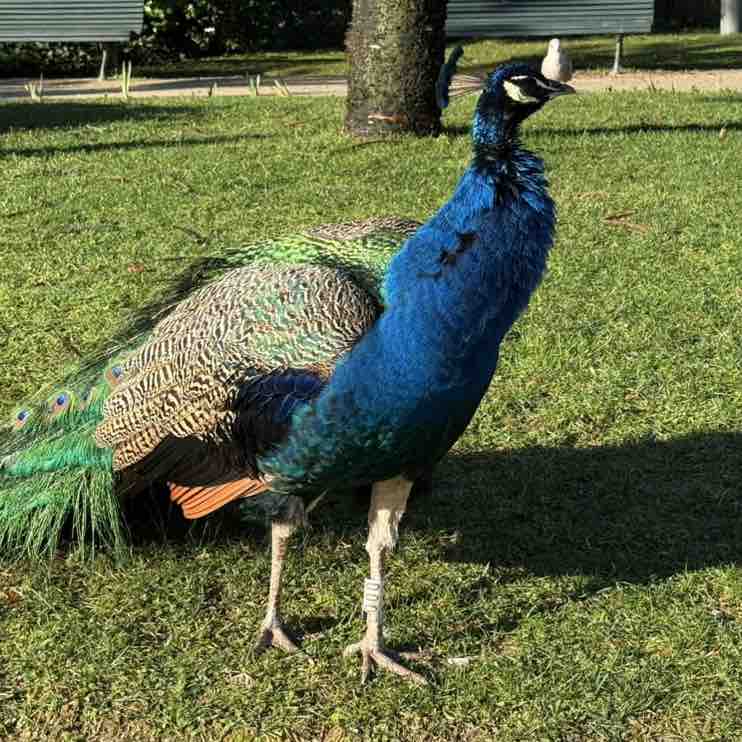 FOR YOURSELF Aurélia post image