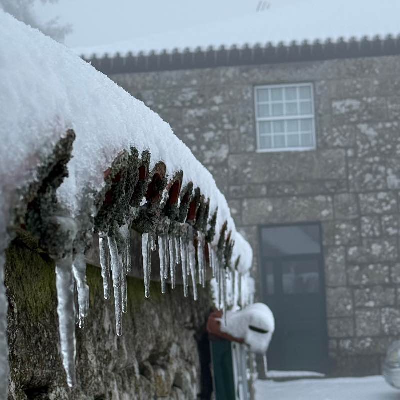 💯 GOOD VIBES💯 Aurélia post image