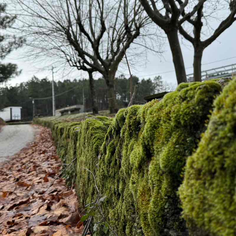 🥰caminhar🥰 Aurélia post image