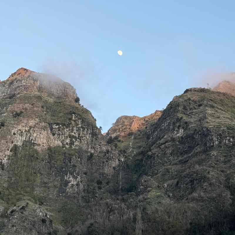 💯 GOOD VIBES💯 Aurélia post image