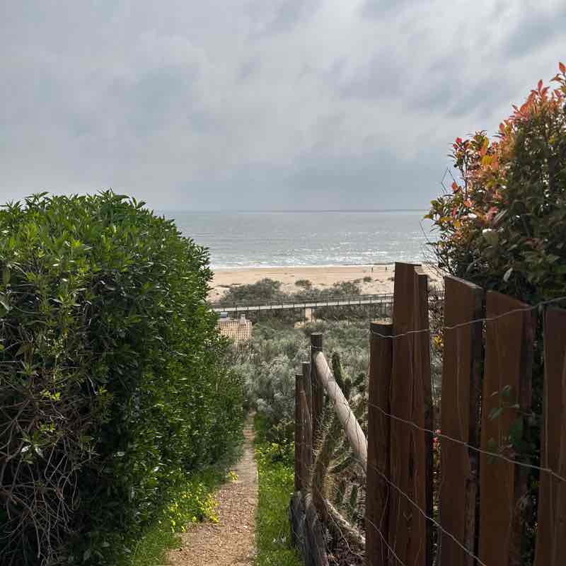 Velocity Zero Aurélia post image