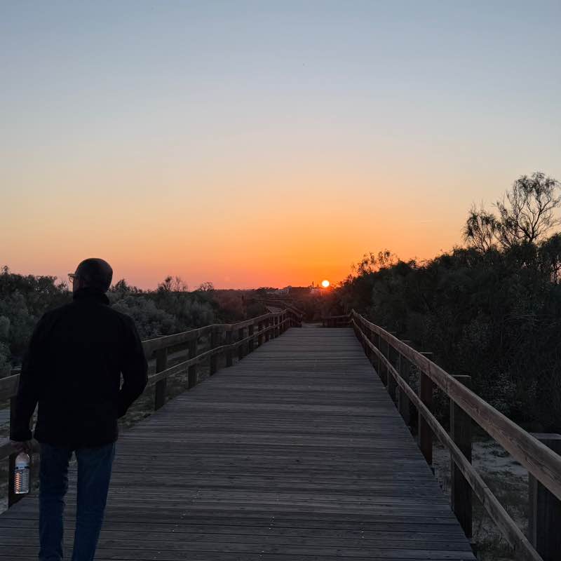 Velocity Zero Aurélia post image