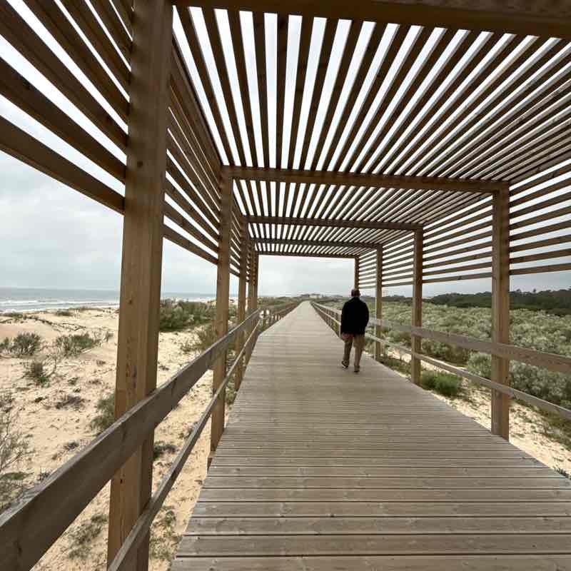 Velocity Zero Aurélia post image