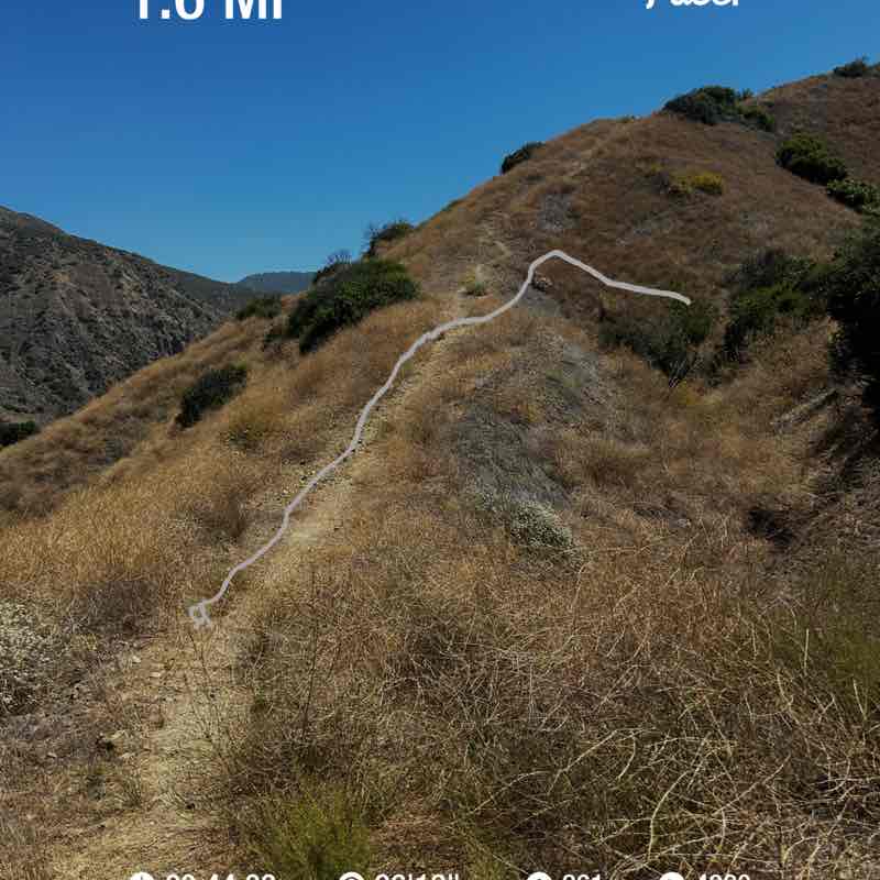 Jauneilbrooks post 1